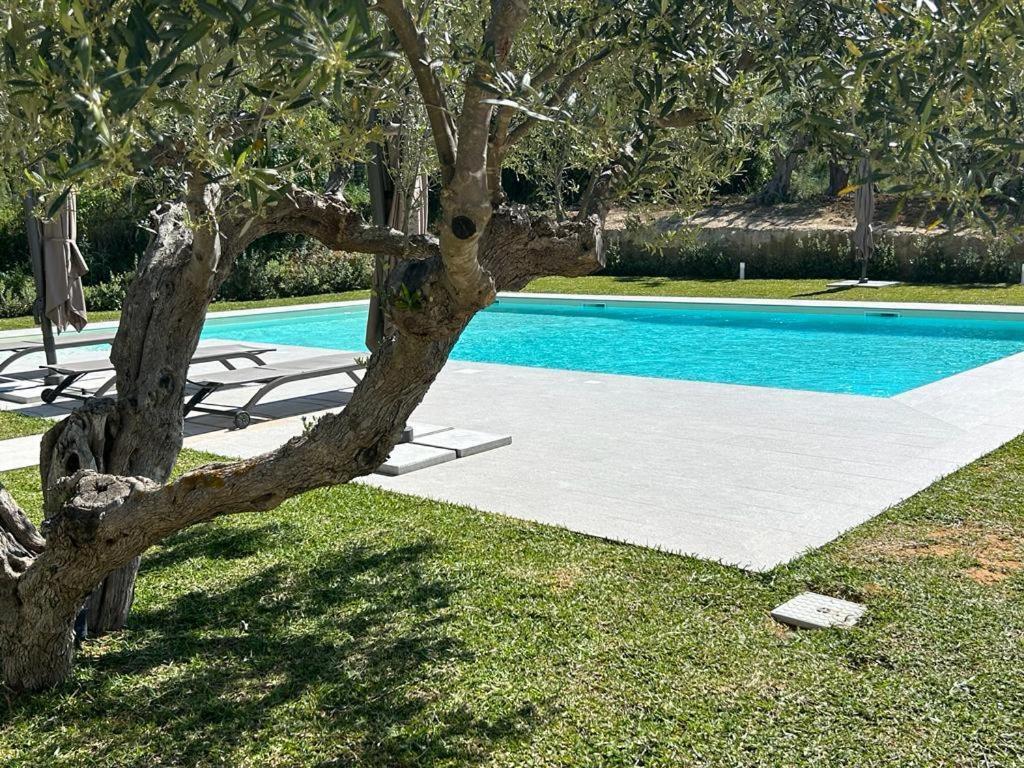 カステッランマーレ・デル・ゴルフォ Civetta Blu Bed & Breakfast エクステリア 写真